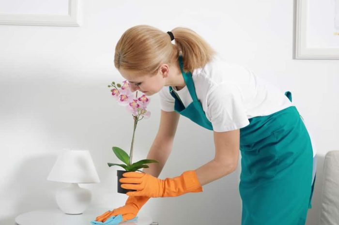 e18b48b5089305ff64825015416b2b52